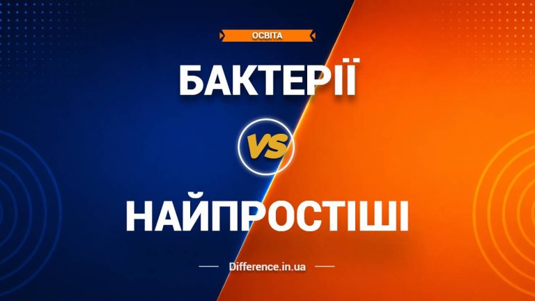 Різниця між бактеріями та найпростішими
