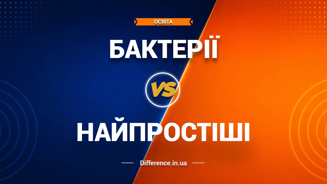 Різниця між бактеріями та найпростішими