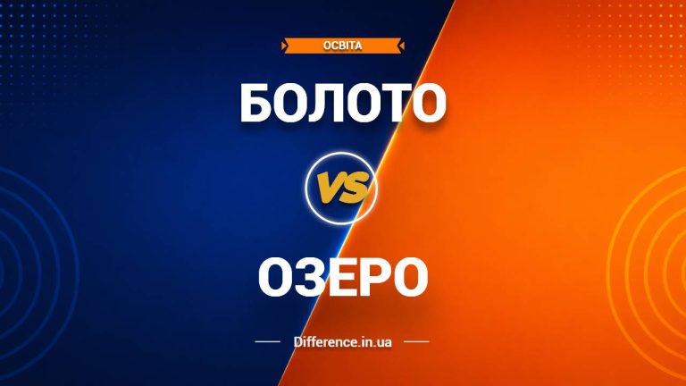 Різниця між болотом і озером