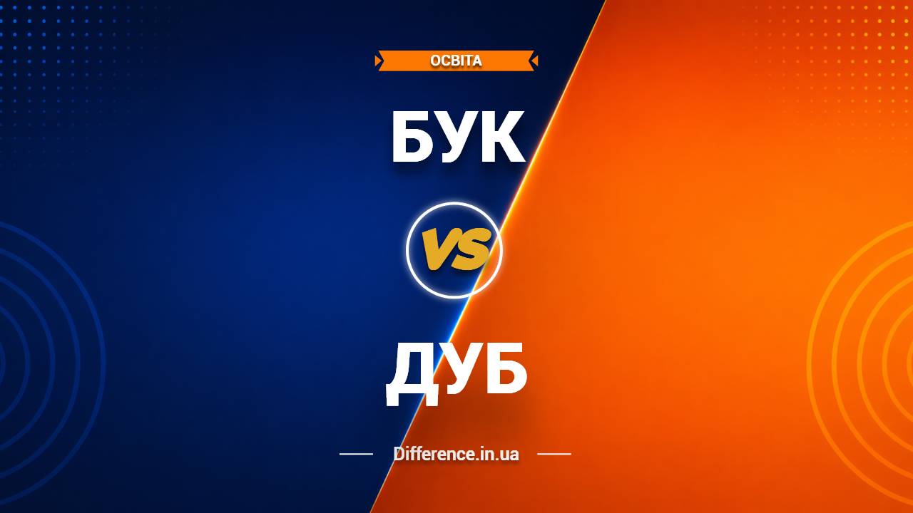 Різниця між буком і дубом