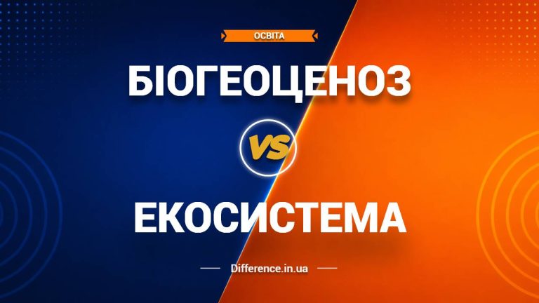 Різниця між біогеоценозом та екосистемою