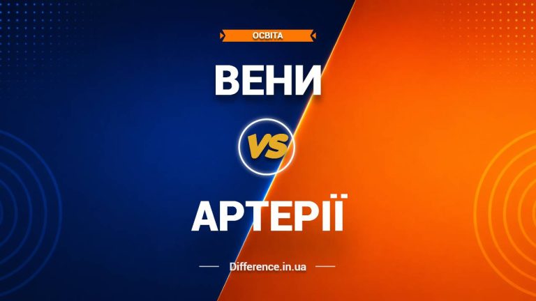 Різниця між венами та артеріями