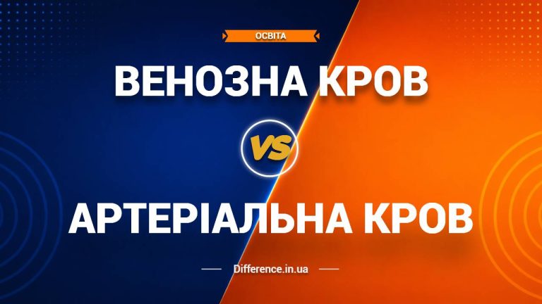 Різниця між венозною та артеріальною кров'ю
