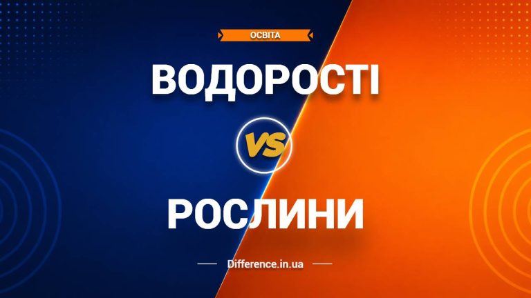 Різниця між водоростями та рослинами