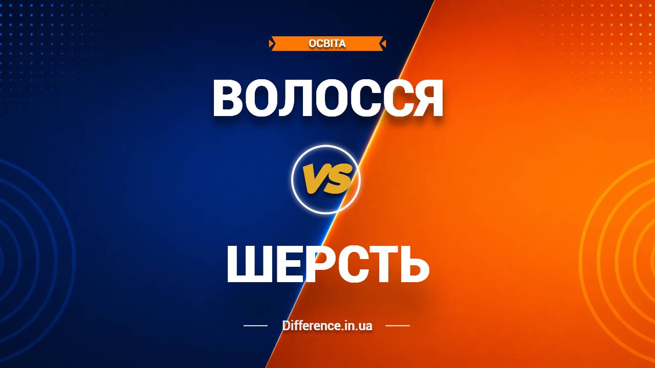 Різниця між волоссям і шерстю
