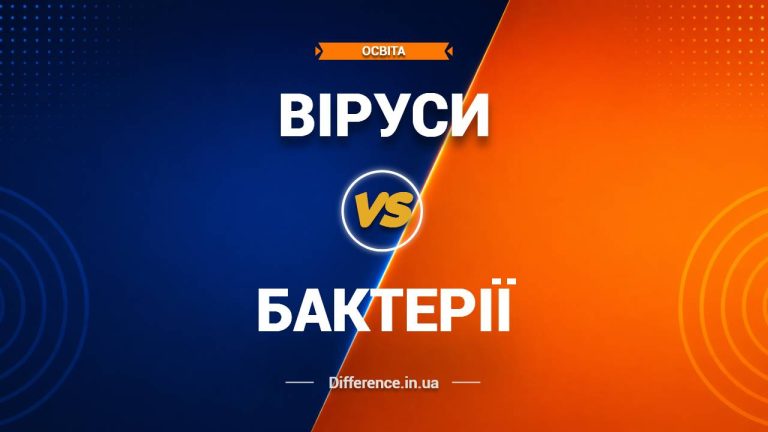Різниця між вірусами та бактеріями