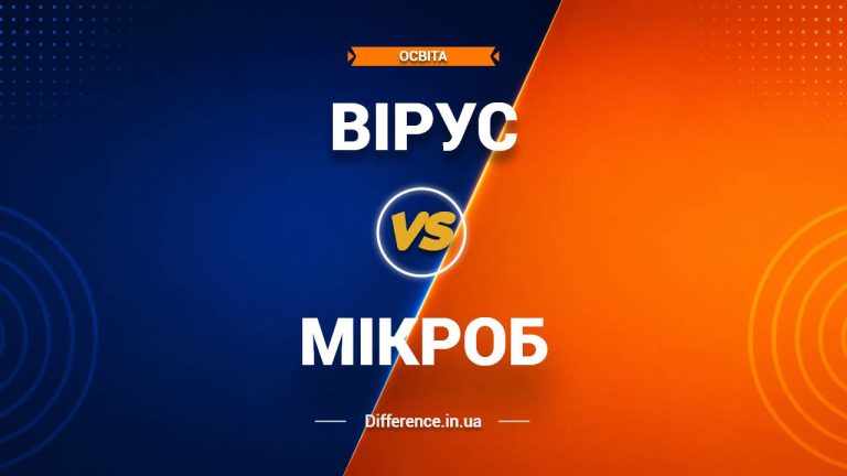 Різниця між вірусом і мікробом