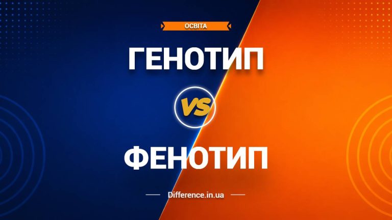 Різниця між генотипом і фенотипом