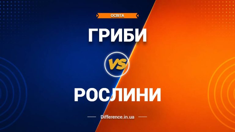 Різниця між грибами та рослинами