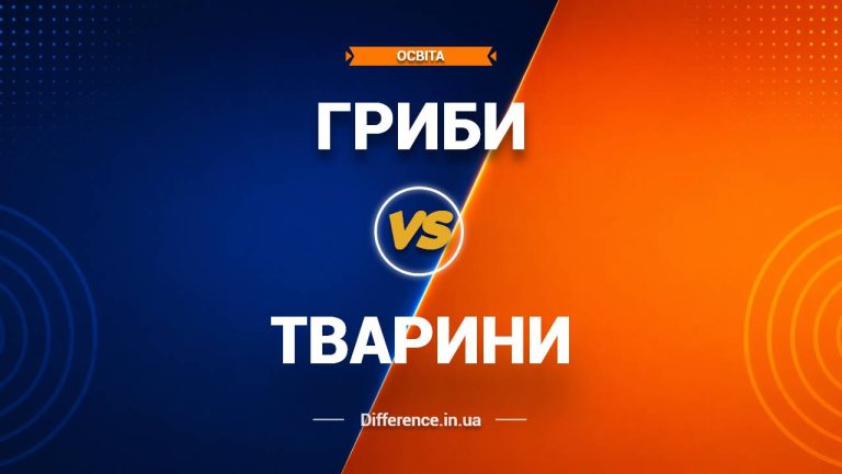 Різниця між грибами та тваринами