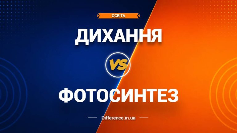 Різниця між диханням і фотосинтезом