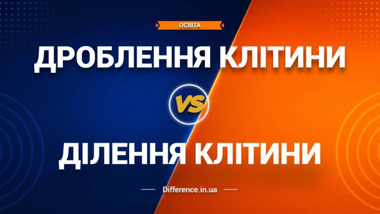 Різниця між дробленням і діленням клітини
