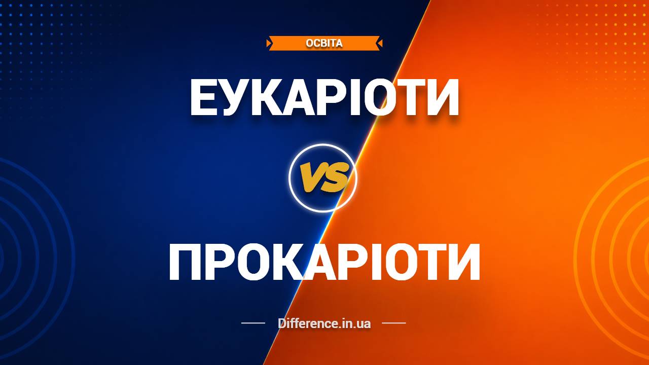 Різниця між еукаріотами та прокаріотами