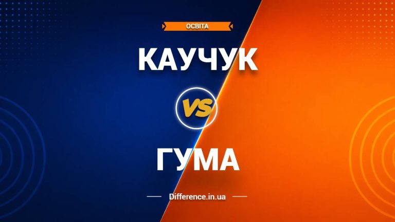 Різниця між каучуком і гумою