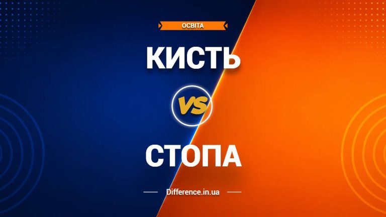 Різниця між кистю та стопою