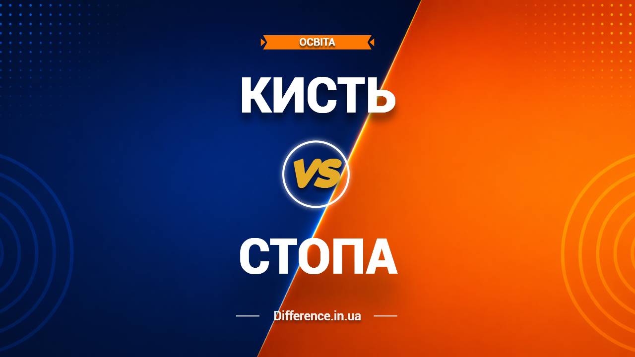 Різниця між кистю та стопою