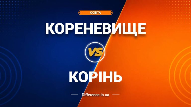 Різниця між кореневищем і коренем