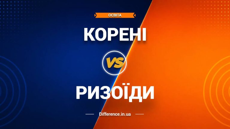 Різниця між коренями та ризоїдами
