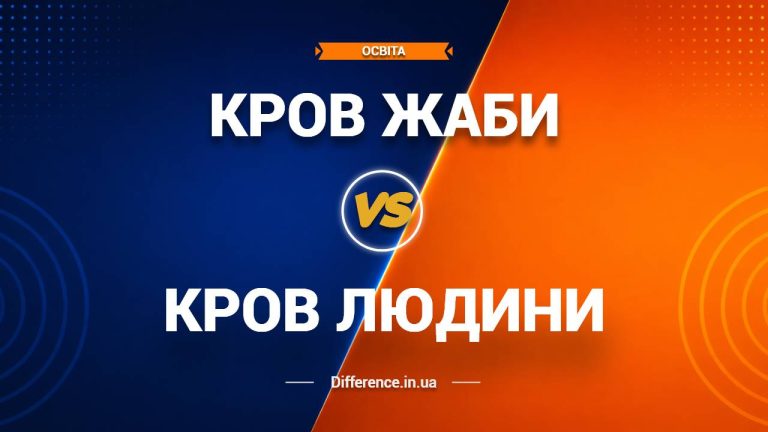 Різниця між кров'ю жаби та людини