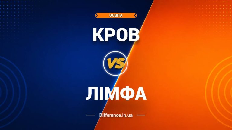 Різниця між кров'ю та лімфою