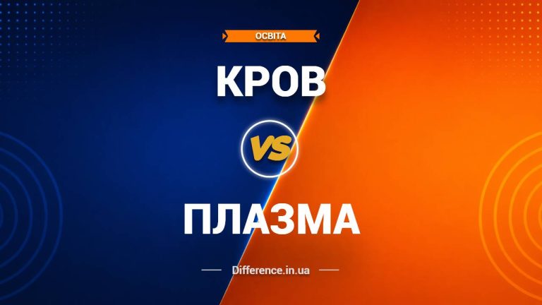 Різниця між кров'ю та плазмою