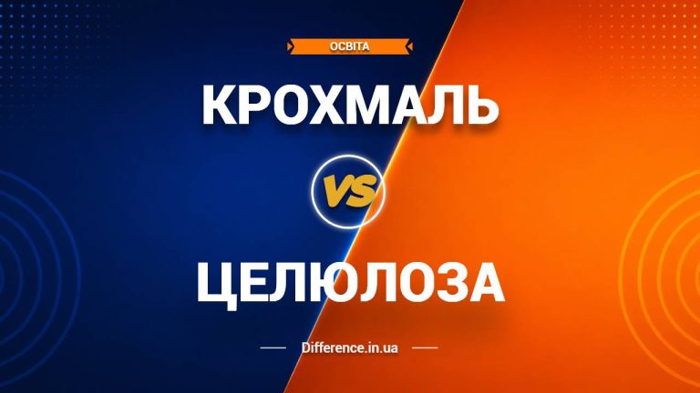 Різниця між крохмалем і целюлозою