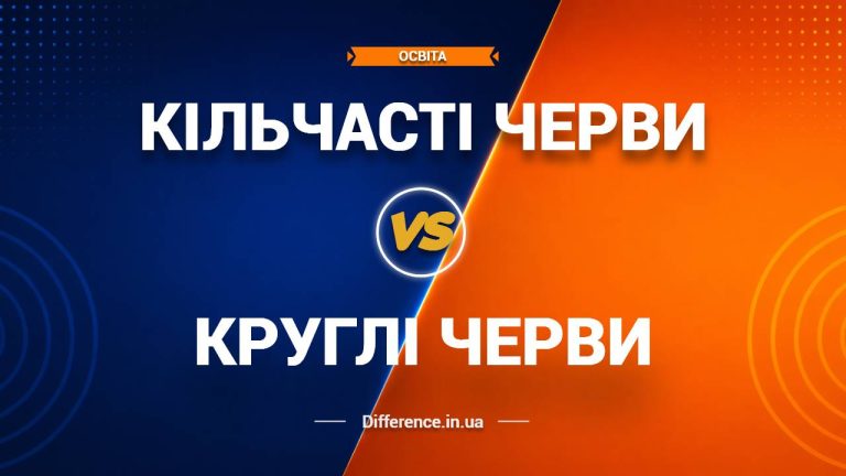 Різниця між кільчастими та круглими черв'яками