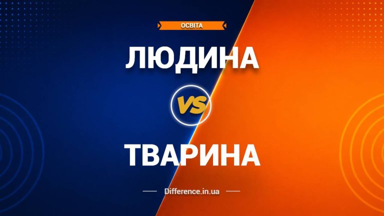 Різниця між людиною і твариною