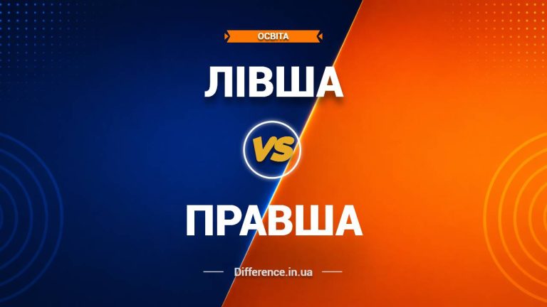 Різниця між лівшею та правшею