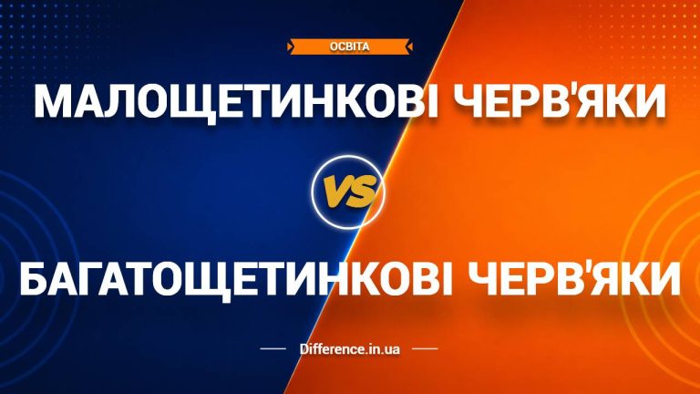 Різниця між малощетинковими та багатощетинковими черв'яками