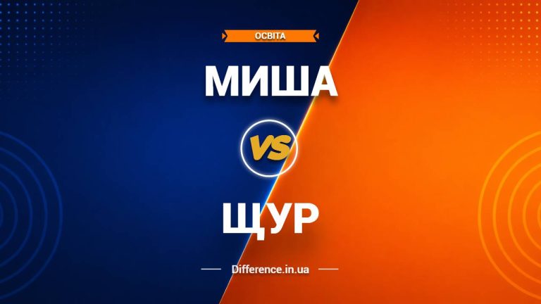 Різниця між мишею та щуром