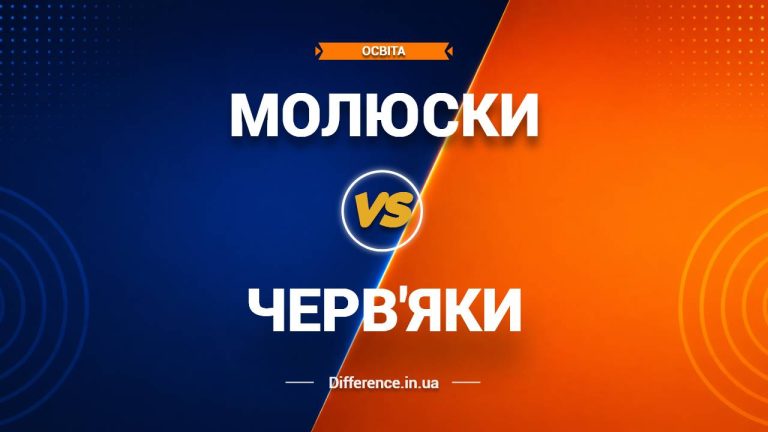 Різниця між молюсками та черв'яками