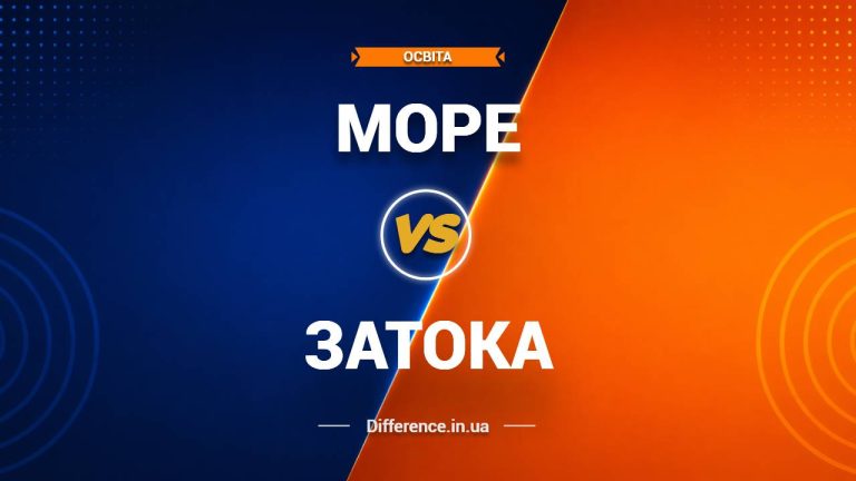 Різниця між морем і затокою