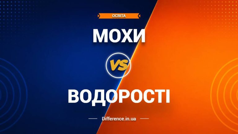 Різниця між мохами та водоростями