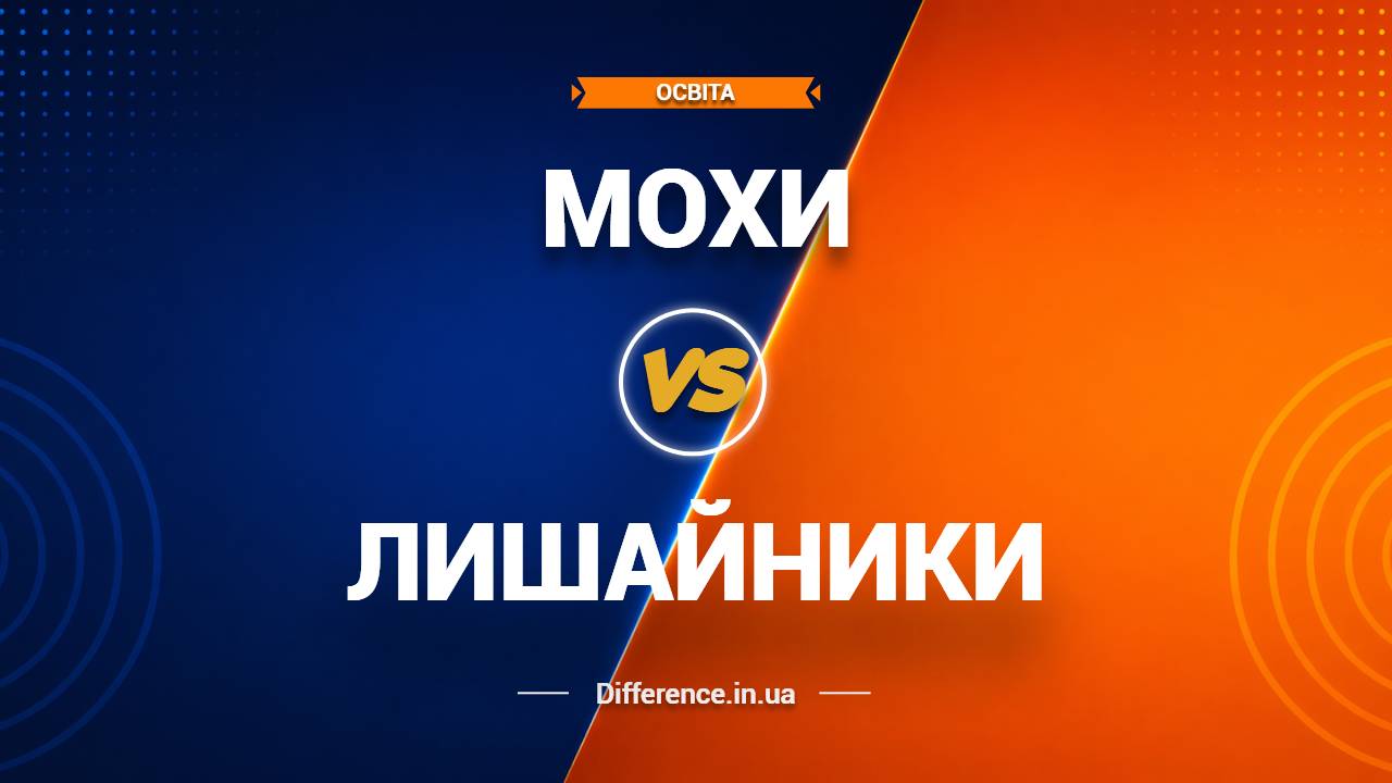 Різниця між мохами та лишайниками
