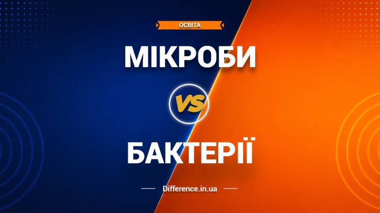 Різниця між мікробами та бактеріями