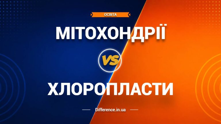 Різниця між мітохондріями та хлоропластами