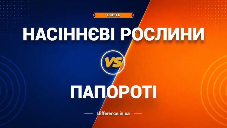 Різниця між насіннєвими рослинами та папоротями