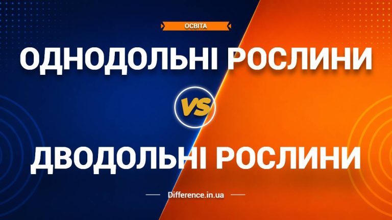 Різниця між однодольними та дводольними рослинами