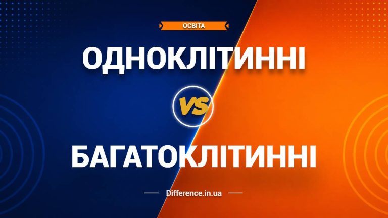 Різниця між одноклітинними та багатоклітинними