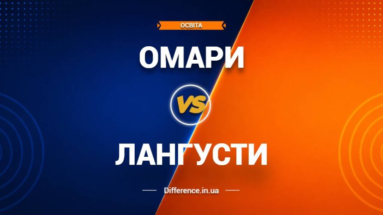 Різниця між омарами та лангустами