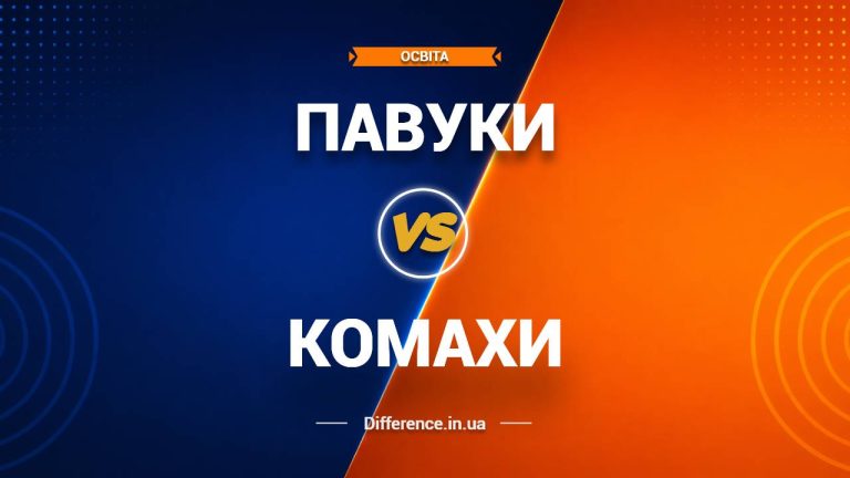 Різниця між павуками та комахами
