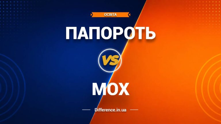 Різниця між папоротями та мохами