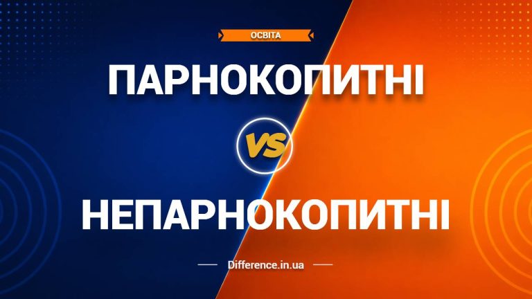 Різниця між парнокопитними та непарнокопитними