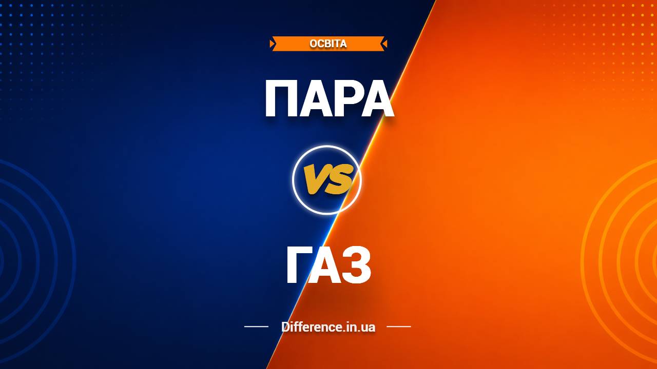 Різниця між парою та газом