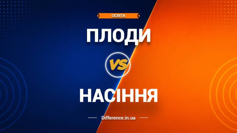 Різниця між плодами та насінням