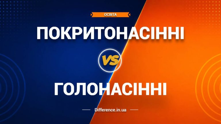 Різниця між покритонасінними та голонасінними