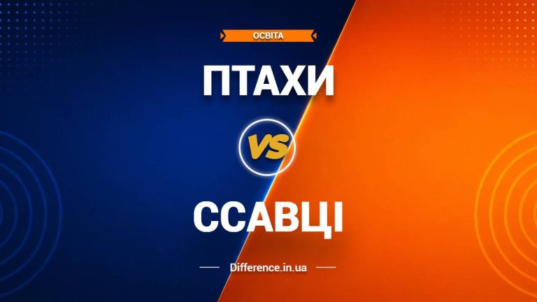 Різниця між птахами та ссавцями