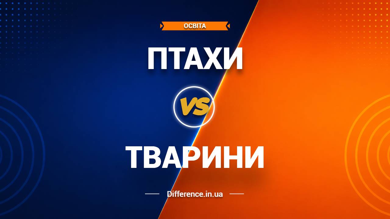 Різниця між птахами та тваринами