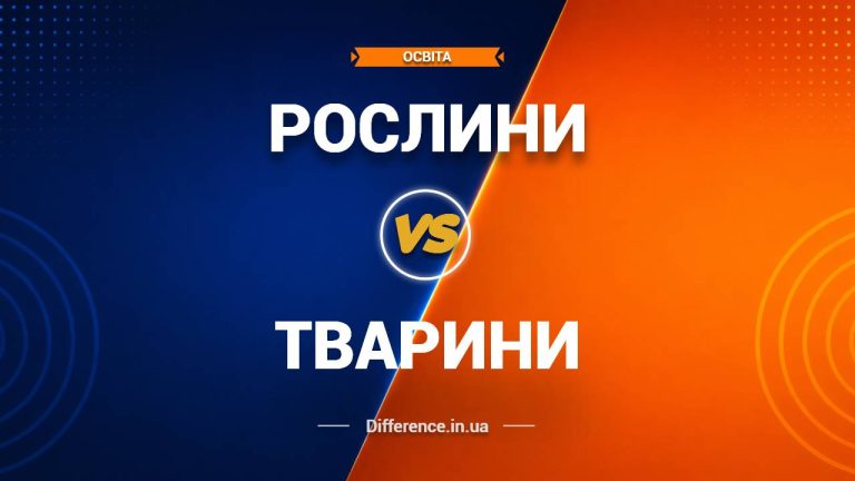 Різниця між рослинами та тваринами